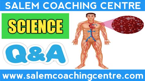 pinnacle neet coaching centre salem